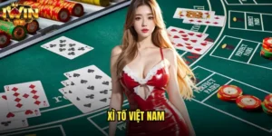 Xì Tố Việt Nam