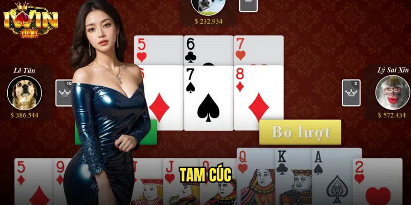 Tam Cúc