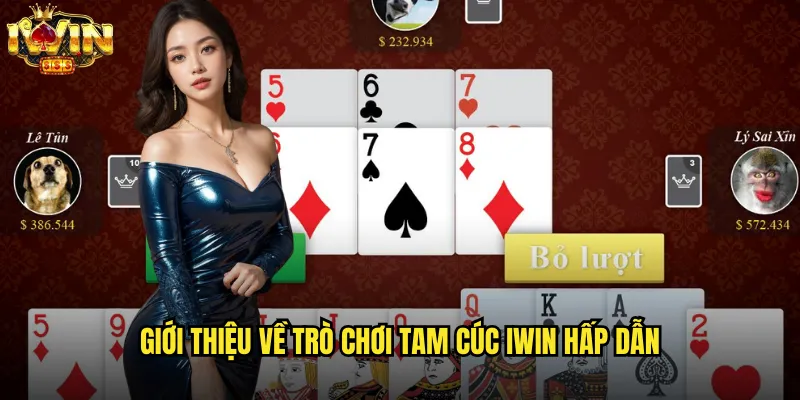 Tam Cúc iwin mang đến cảm giác hoài cổ trong không gian giải trí trực tuyến 2 Giới thiệu về trò chơi Tam Cúc iwin hấp dẫn